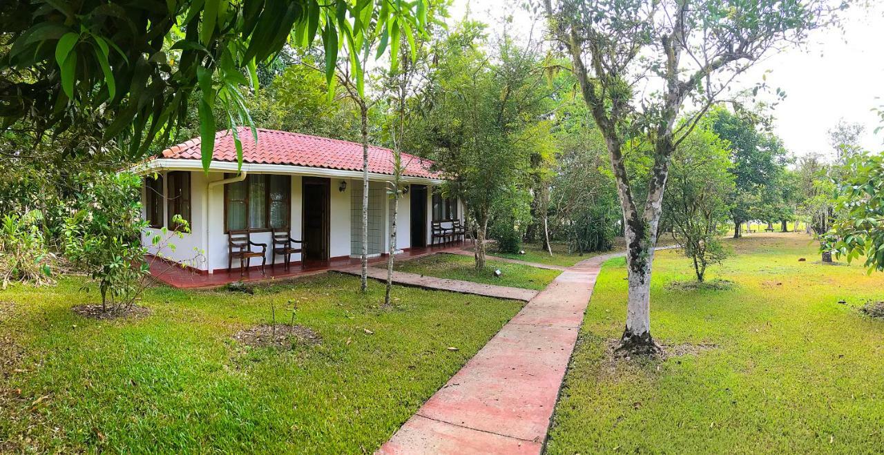 Hotel De Campo Caño Negro Exteriér fotografie